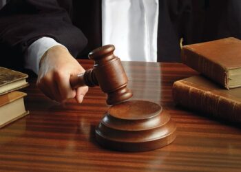 “A New Era of Indian Law : Examining the Changes to Popular Public Spaces Under the Revised Criminal Law Bills”