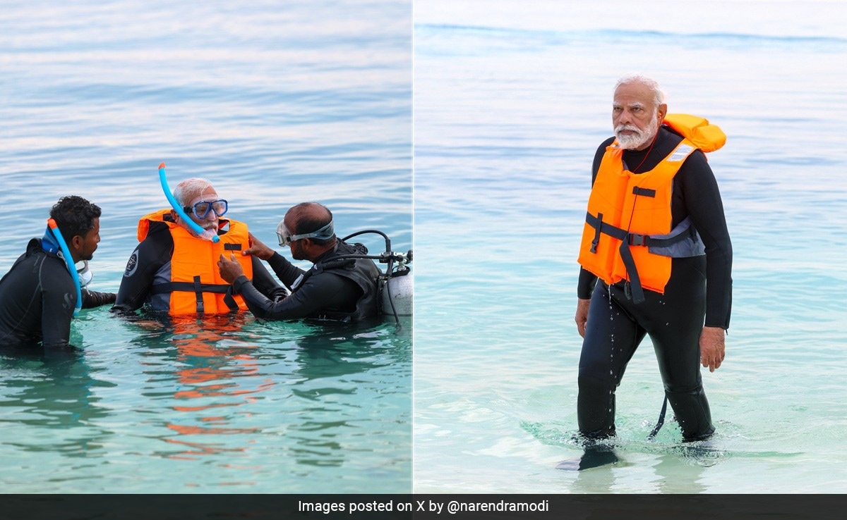 PM Narendra Modi I এইবাৰ সাঁতোৰবিদৰ ৰূপত প্ৰধানমন্ত্ৰী 3 সাঁতোৰবিদৰ ৰূপত প্ৰধানমন্ত্ৰী
