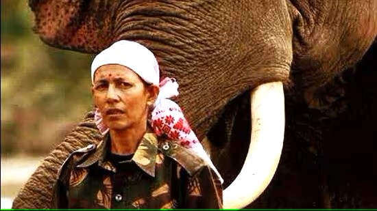 "Trailblazer of the Wild: Parbati Baruah, India's First Female Mahout and Padma Shri Awardee" 1 “Trailblazer of the Wild: Parbati Baruah, India’s First Female Mahout and Padma Shri Awardee”