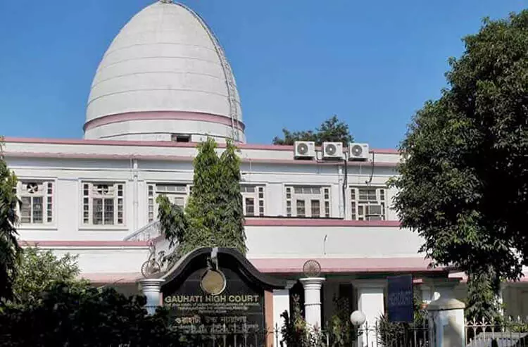 Guwahati High Court Orders Suspension of Buffalo Fights in Assam: 3 Guwahati High Court Orders Suspension of Buffalo Fights in Assam: