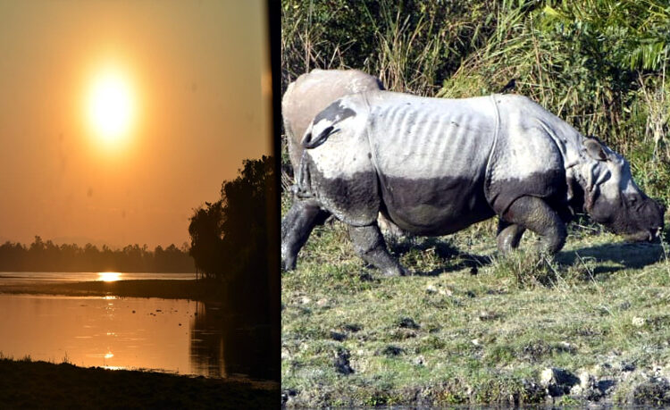 Kaziranga National Park : আজিৰে পৰা বন্ধ হ'ব কাজিৰঙাৰ ২০২৩-২৪ পৰ্যটন বৰ্ষ : ৯ কোটি টকাৰ ৰাজহ লাভেৰে পূৰ্বৰ অভিলেখ ভংগ 1 Kaziranga National Park : আজিৰে পৰা বন্ধ হ’ব কাজিৰঙাৰ ২০২৩-২৪ পৰ্যটন বৰ্ষ : ৯ কোটি টকাৰ ৰাজহ লাভেৰে পূৰ্বৰ অভিলেখ ভংগ