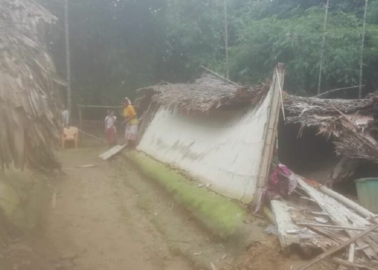 Heartbreaking: Majestic Elephants Ravage Homes in Makum Due to Rampant Deforestation in Tinsukia