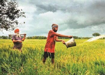 Surprising Turn: Strong Volume Fails to Lift Indian Agrochemical Giants Amid Weak Pricing 4 Surprising Turn: Strong Volume Fails to Lift Indian Agrochemical Giants Amid Weak Pricing