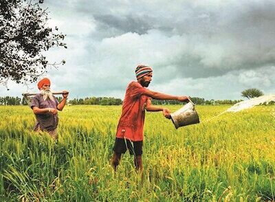 Surprising Turn: Strong Volume Fails to Lift Indian Agrochemical Giants Amid Weak Pricing 3 Strong Volume Fails to Lift Indian Agrochemical Giants Amid Weak Pricing