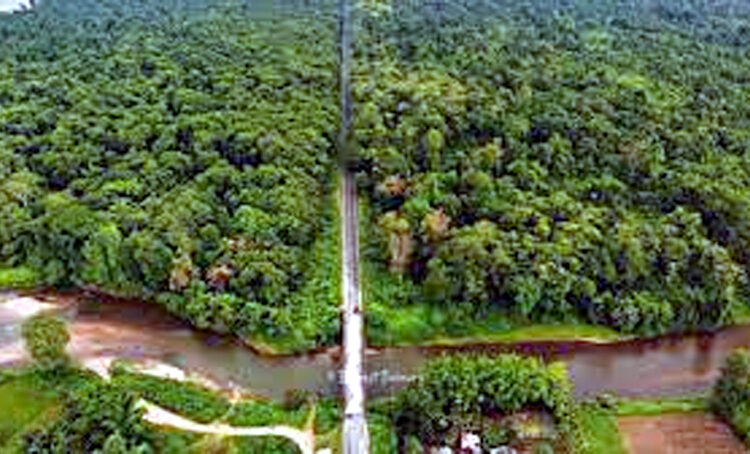 Poba Reserve Forest to Become Assam’s 18th Wildlife Sanctuary