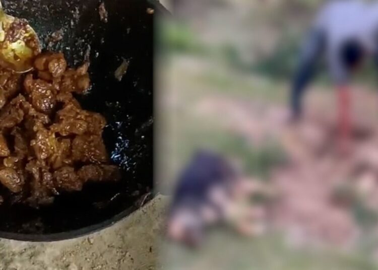 Shocking Discovery in Bokakhat: Man Arrested for Alleged Canine Meat Cooking Scandal 1 Shocking Discovery in Bokakhat: Man Arrested for Alleged Canine Meat Cooking Scandal