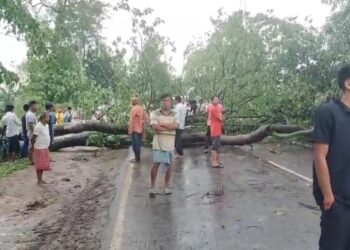 ধুমুহাৰ প্ৰচণ্ড আক্ৰমণ: ডিফু মাঞ্জা পথৰ ৯ মাইল অঞ্চলত বিস্তৰ ক্ষতি 8 ধুমুহাৰ প্ৰচণ্ড আক্ৰমণ: ডিফু মাঞ্জা পথৰ ৯ মাইল অঞ্চলত বিস্তৰ ক্ষতি